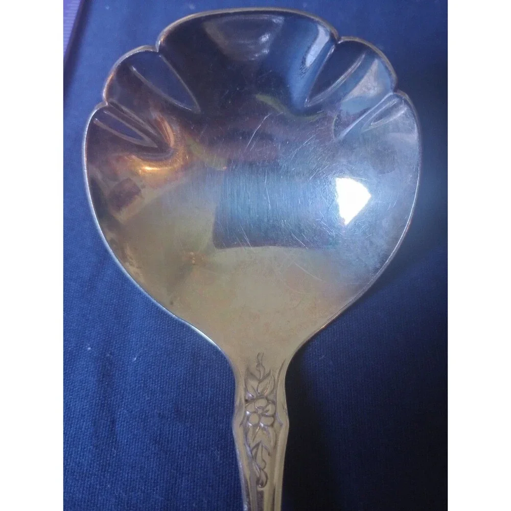 Oneida USA Stainless Steel, Raphael Solid Gravy Ladle, 7 5/8 in. Discontinued